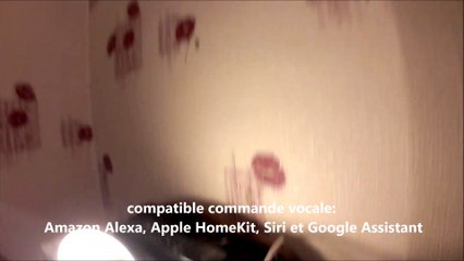 prise connectée KoogeeK Smart Plug KLSP1