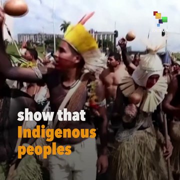 To Tackle Climate Change, Involve Indigenous Communities