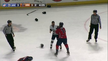 ECHL Jacksonville Icemen 3 at Greenville Swamp Rabbits 3