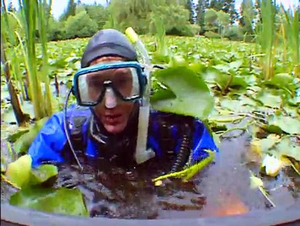 Bill Nye The Science Guy S04E13 Amphibians