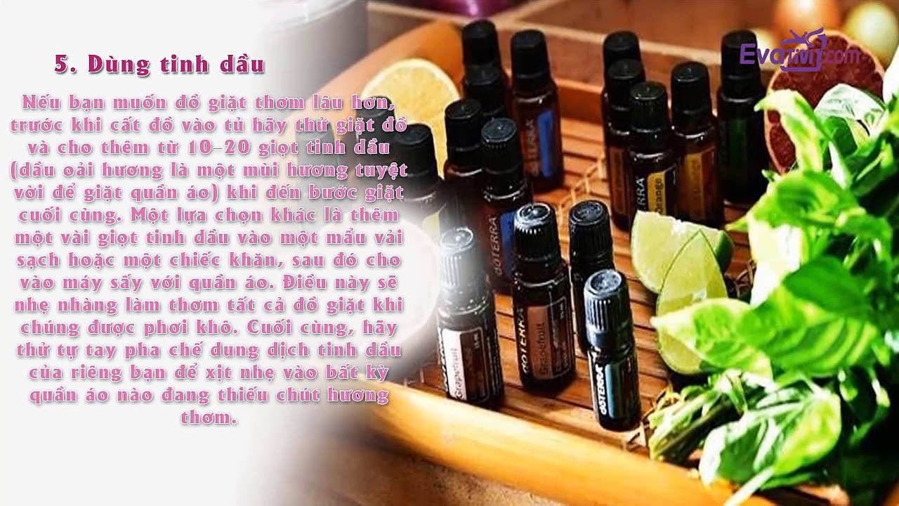 7. Evativi - Mẹo vặt hay: 9 cách giữ quần áo cất trong tủ thơm phức từ mùa hè đến hết mùa đông