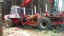 Modern Dangerous Chainsaw Huge Tree Felling Cutting Down Felling Wedge Skills Transportation(1)