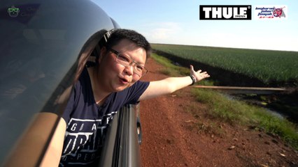 A Visit to Kluang’s Pineapple Plantation [Travel Vlog 5] 参观居銮菠萝种植园