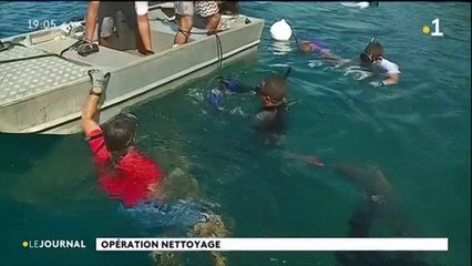 Première opération de nettoyage pour le lagon de Papara
