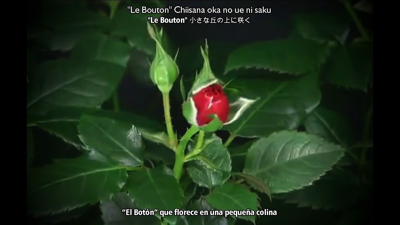 KAMIJO [LAREINE] - Urei no hana ga tsuzuru ai 憂いの花が綴る愛 [FMV] (Sub Español+Romaji+Kanji)