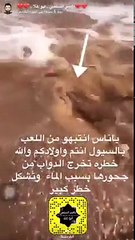 بعد السيول.. الأفاعي تنتشر في شوارع السعودية