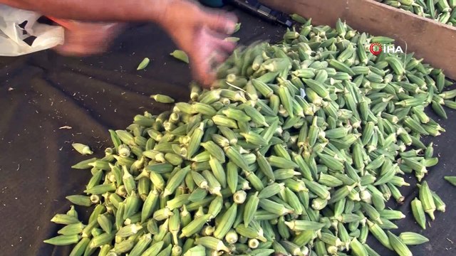 Pazarcının satışlarına 'diksiyon' dopingi...Esnafın şiir albümü çıkarabilmek için aldığı diksiyon dersi pazarda satışlarını arttırdı