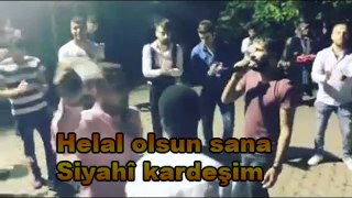 SİYAHÎ GENÇ KÜRT DÜĞÜNÜ COŞTURDU