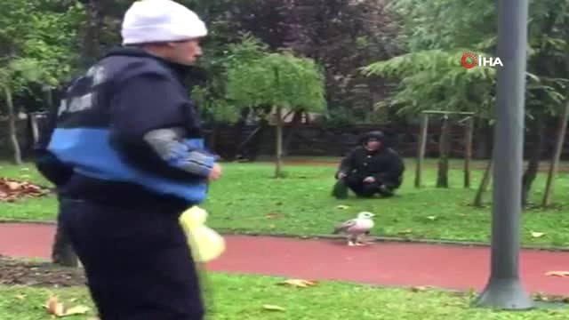 Esenyurt'ta Yaralı Martının İmdadına Zabıta Ekipleri Yetişti