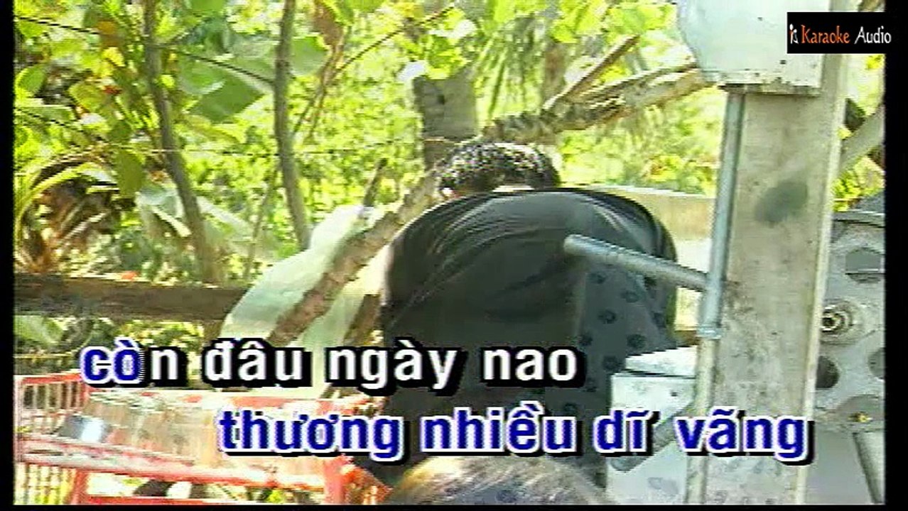 Vẫy Tay Chào - Trường Vũ