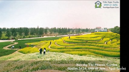 Ngắm nhiều lô biệt thự sinh thái đan phượng đã về ở diện tích