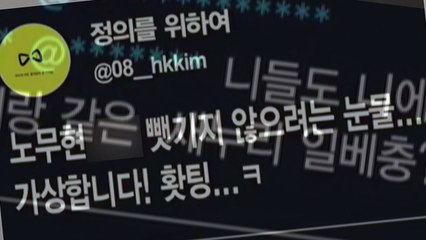 '혜경궁 김씨' 독설·인신공격...문 대통령까지 겨냥 / YTN