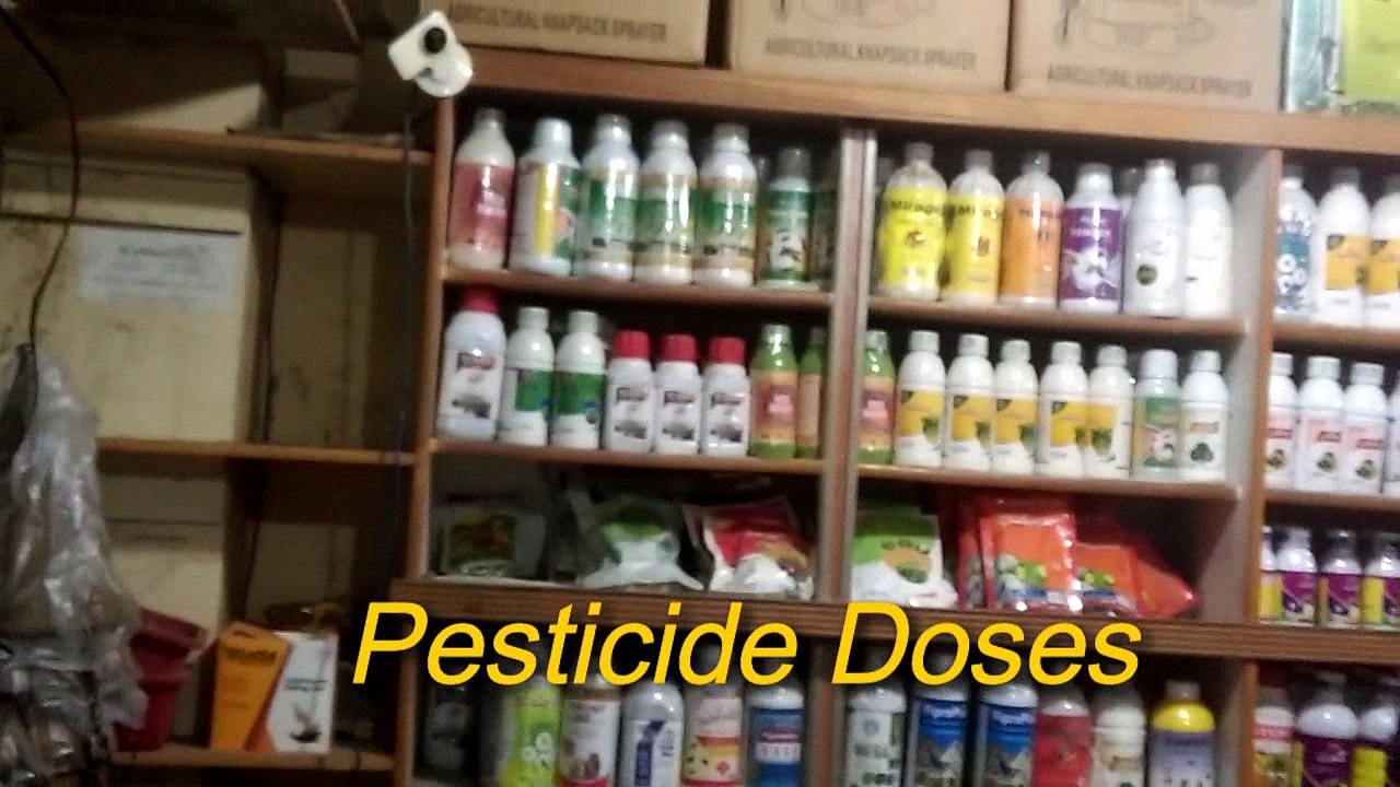 Kitchen Gardening Shop Visit | Asaan shopping  gardening items ki, aik shop saay woh bhi gher bhaitay |