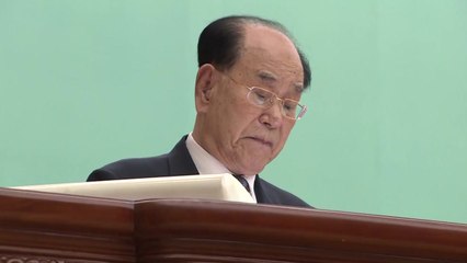 北 김영남, 중남미 국가 잇따라 방문 / YTN