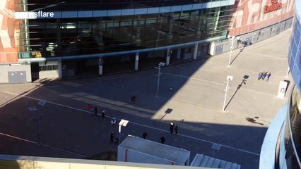 Amazing Skateboarding Dog Wows Crowds Outside Emirates Stadium 🐶