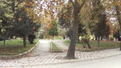 Belediyeden "Sonbaharın Renklerine Dokunmama" Kararı