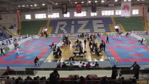 Karate şampiyonası sona erdi - RİZE