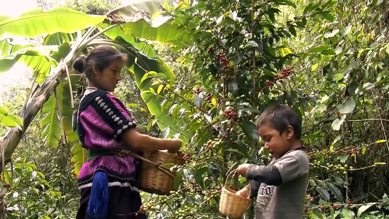 ELFF 2014: Connected By Coffee Trailer