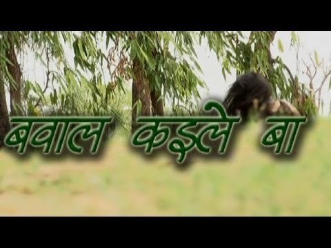 बवाल कइले बा - Bawal Kaile Ba | Raj Rangila | Bhojpuri Album 2014