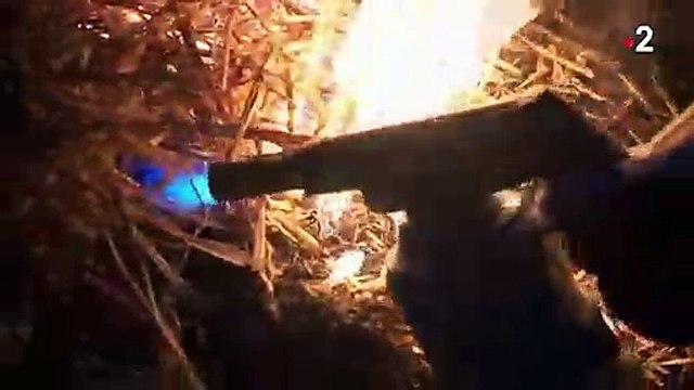 Jura : les viticulteurs allument des feux contre le gel