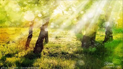 Pachelbel Canon in D ★ with Relaxing Nature Sound ★ 9 Hours ★