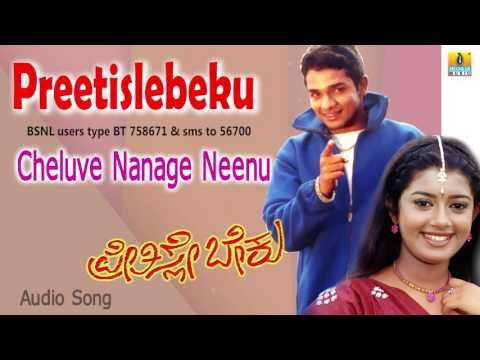 Sakida Gini | Cheluve Nanage Neenu Audio Song | Vijay Raghavendra, Chaya Singh I Jhankar Music
