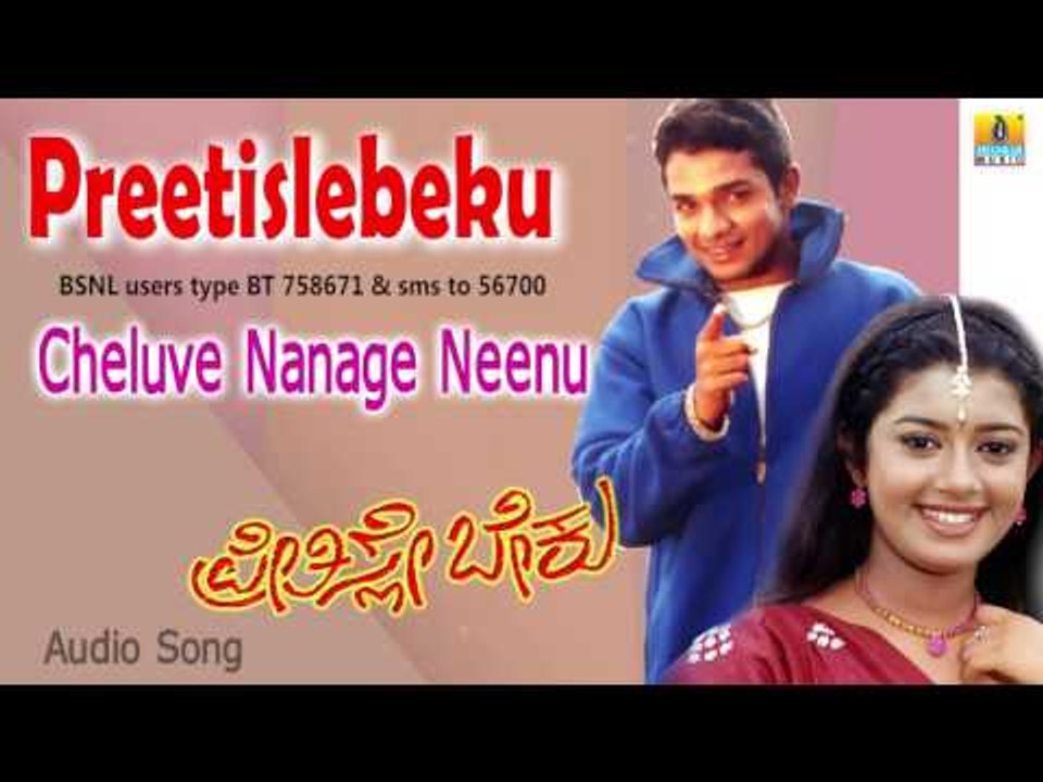 Sakida Gini | "Cheluve Nanage Neenu" Audio Song | Vijay Raghavendra, Chaya Singh I Jhankar Music