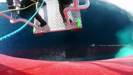 Antártida  -  A missão do quebra gelo Estrela Polar