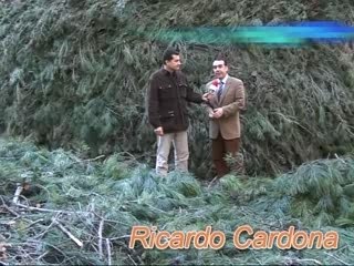 Saluda del Alcalde de Canals