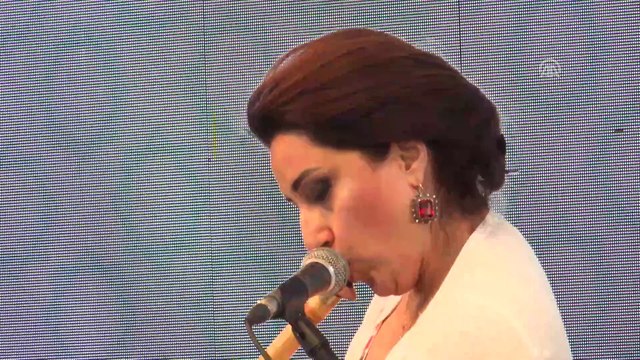 Yunus Emre Enstitüsü 10. yılını kutladı - İSTANBUL