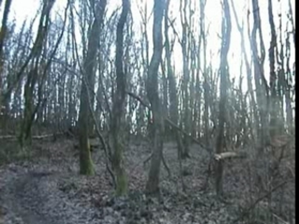 apres midi dh pollionnay