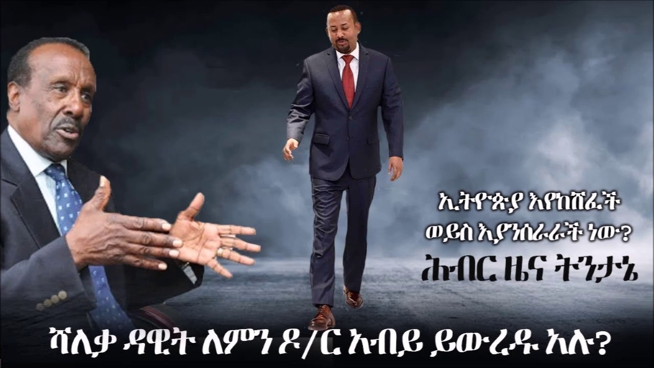 Ethiopia ሻለቃ ዳዊት ለምን ዶር አብይ ይውረዱ አሉ  - ሕብር ዜና ትንታኔ Hiber News Analysis