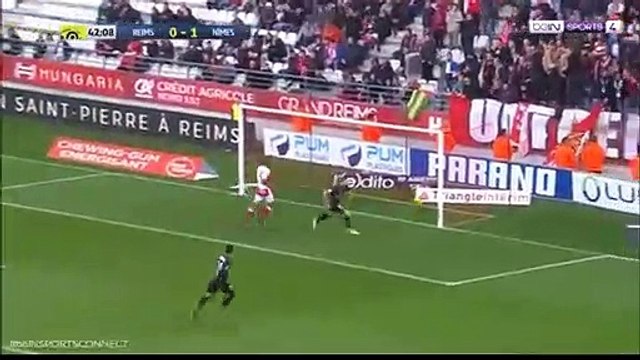 Reims 0 - 2 Nimes Renaud Ripart Goal 04.05.2019 FRANCE: Ligue 1