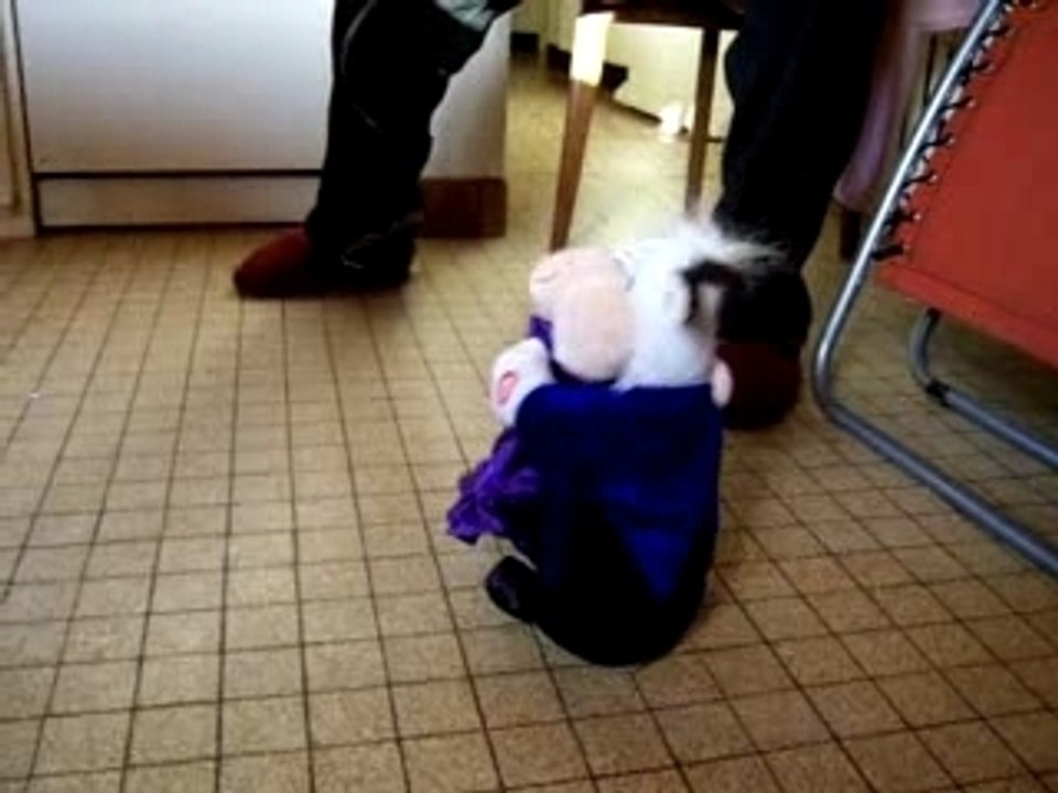 la danse des vaches
