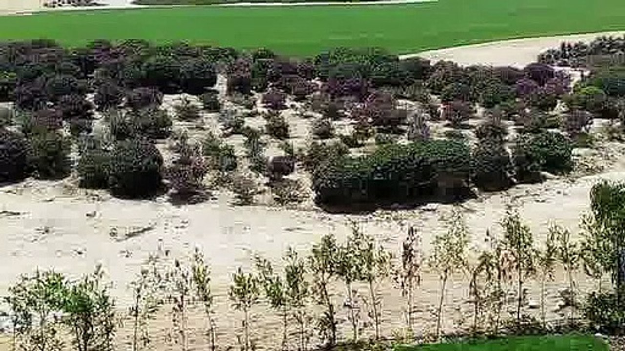 فيلا بموقع ممتاز تطل على الجولف للبيع فى مراسى فيردى