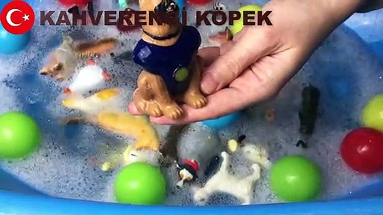 Learn colors Learn animals in 3 languages  English Nederlands Türkçe - Üç Dilde Hayvanlar ve Renkleri Ogreniyorum