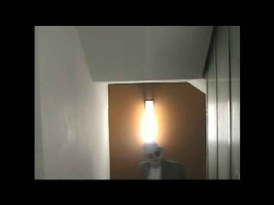 Dick Hollywood Kung Fu