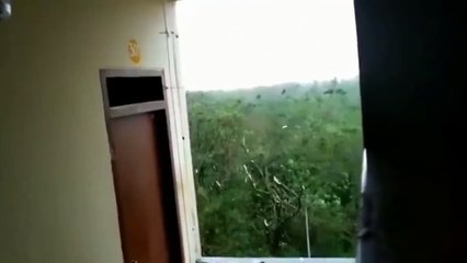 فيديو: لحظات مرعبة لإعصار قوي يطير بالحافلات ويسقط الرافعات