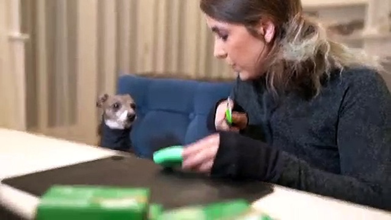 Cutting Soap For My Dog While He Wears A Turtleneck