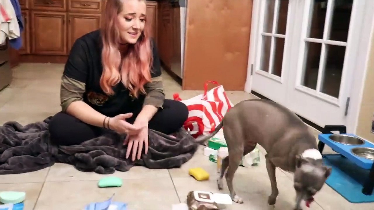 My Dog Reviews Soap