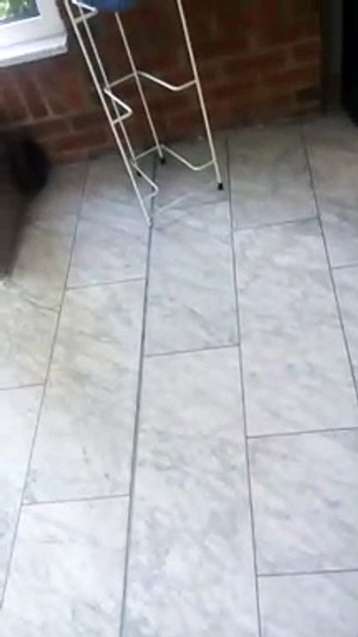 good-times-rtl2-besuch-für-fanpost