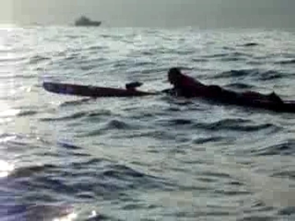 Paddleboard07 030