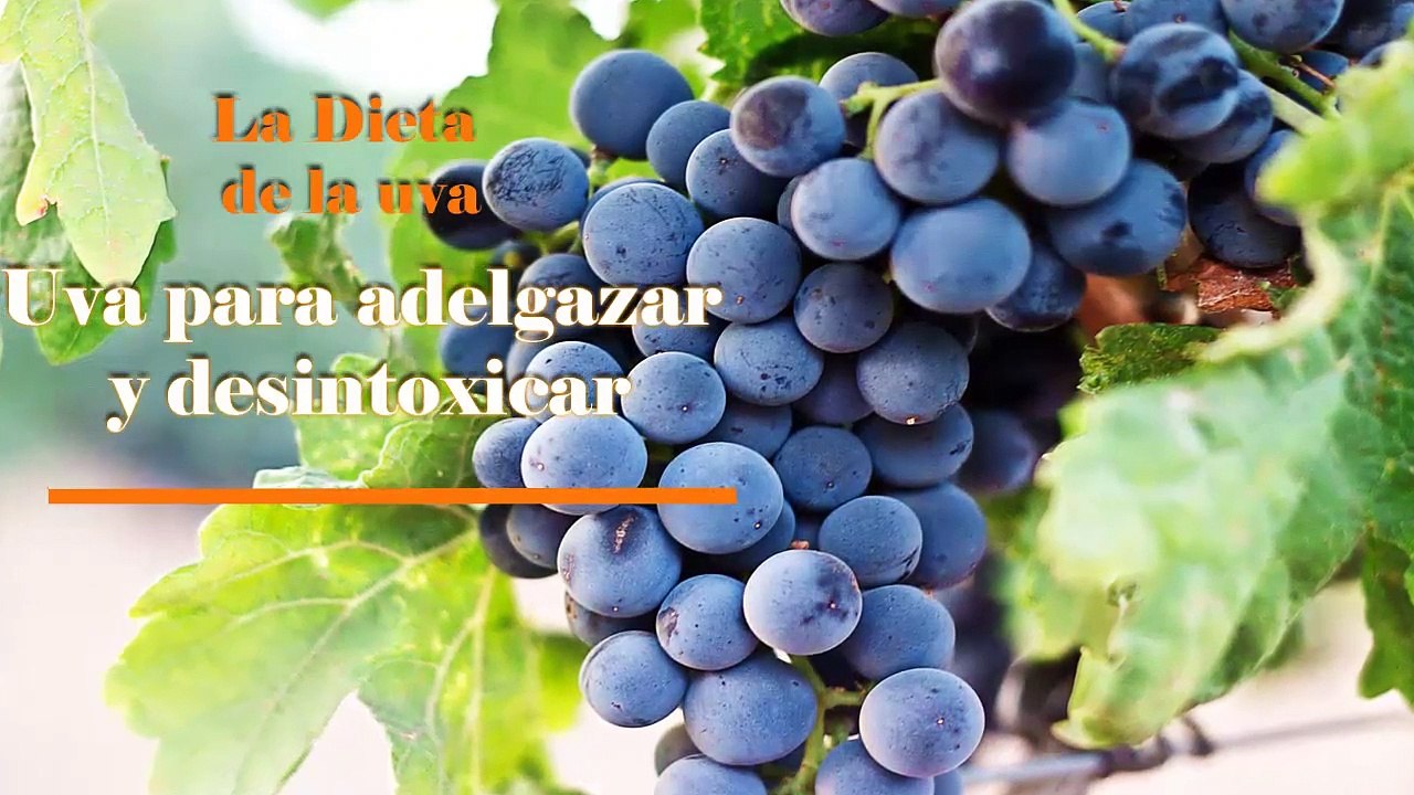 Dieta de la Uva