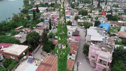 Çevresini ve minaresi saran sarmaşıklarıyla ünlü 'Yeşil Camii' havadan görüntülendi