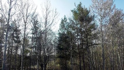 Apr 20 2019 DL2
