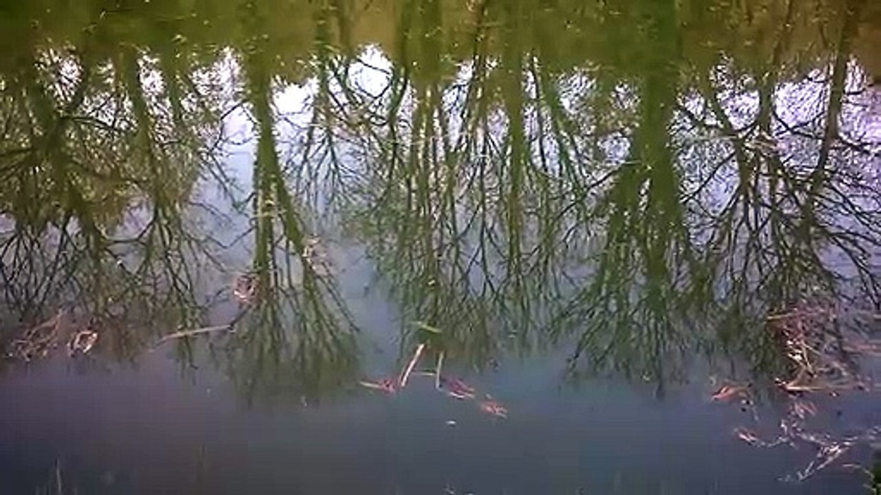 Chants de printemps 2019