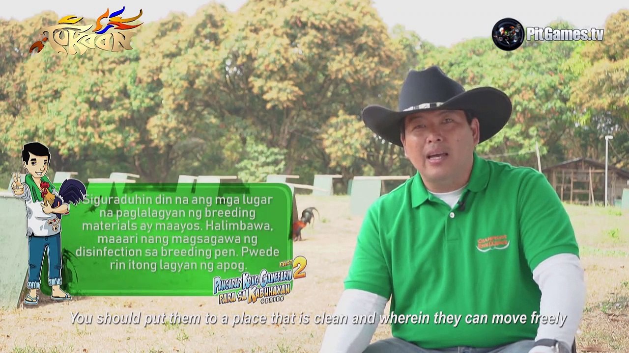 Pangarap Kong Gamefarm - Breeding Guide of Chris Siosion