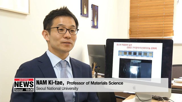 Korean researchers develop efficient, low-cost catalyst for hydrogen production