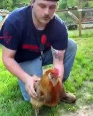 Horozu Hipnoz eden adamlar !