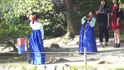 [날씨] 운치있는 야간 궁궐 산책...창경궁의 야간 관람 / YTN